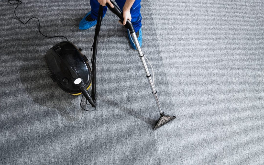 How Often Should You Clean Your Carpets in Wilmington, NC? A Practical Schedule for Real Homes