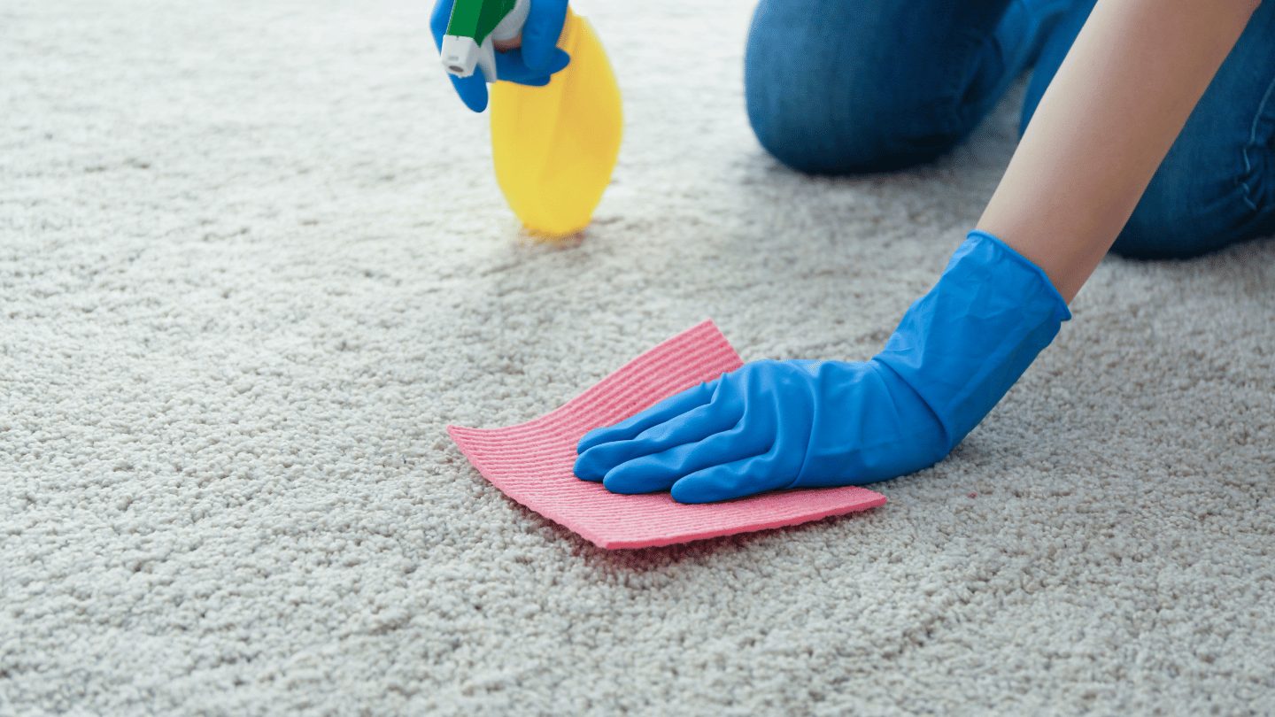 Professional vs DIY Carpet Cleaning Wilmington NC<br />
